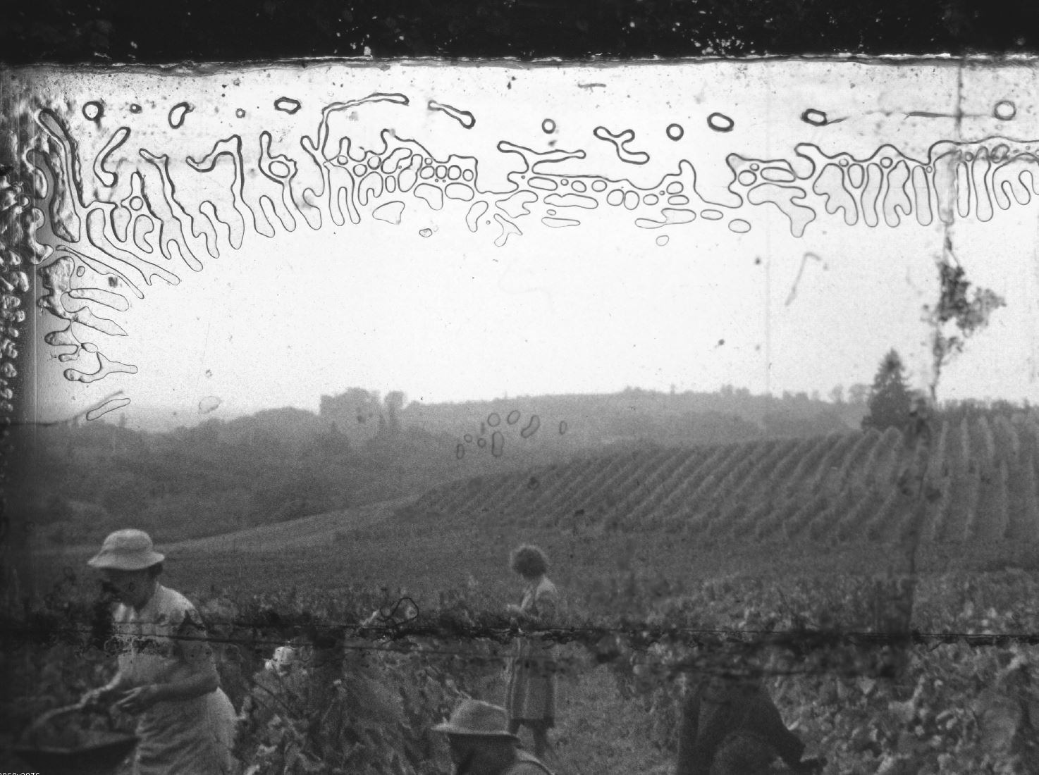 Numerisation film argentique