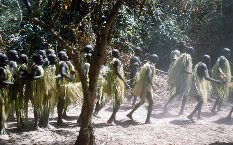 Bordeaux et l'Afrique